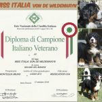 Miss Italia von de Wildenhayn - Diploma 17.10.16